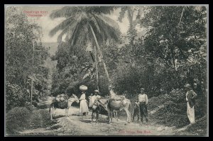 Jamaica 1915 Vintage Postcard Kent Village Bog Walk mailed to South Lee Mass.