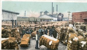 Postcard Antique View of Cotton being weighed on a Southern US Dock.  L1