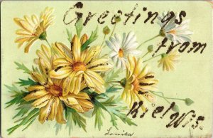 Daisies, Greetings from Kiel WI Vintage Postcard E14