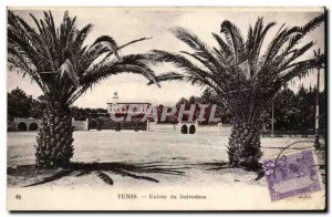 Tunisia Tunis Old Postcard Entree belvedere