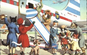 Fantasy Dressed Animals Cats Flying Airplane Mainzer Vintage Postcard