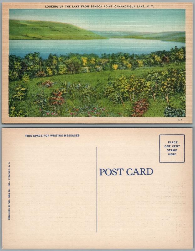 CANANDAIGUA LAKE N.Y. FROM SENECA POINT VINTAGE POSTCARD 