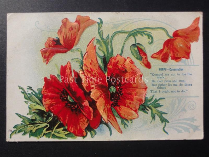 Poppies POPPY CONSOLATION c1910 Old American Embossed Postcard