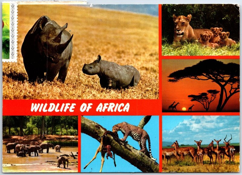 VINTAGE CONTINENTAL SIZED POSTCARD (6) SIX MINIVIEWS OF AFRICAN WILDLIFE LIBERIA