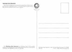 California - Monterey Bay Aquarium