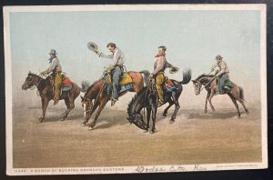 Mint USA Picture Postcard Cowboys A Bunch Of Bucking Broncho Busters