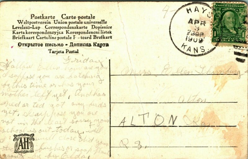 Comic Are You An Elk? Elks Club Wife Giving Away Lodge Secrets 1909 Vtg Postcard