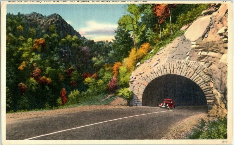 c1940s Tennessee Giant Post Card 11x7 Newfound Gap Highway Tunnel Smoky Mts 5K