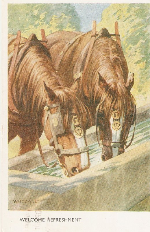 Whydale. Horses drinkint. Welcome refreshment Vintage Engish postcard
