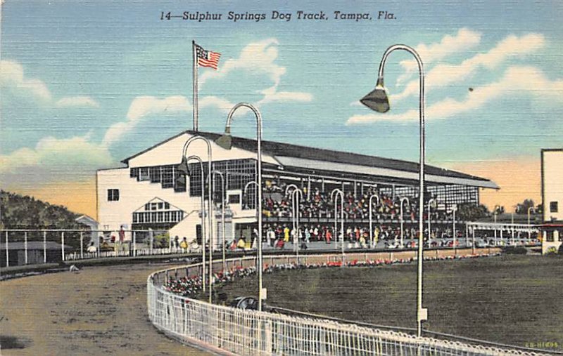 Sulphur Springs Dog Track  Tampa FL 
