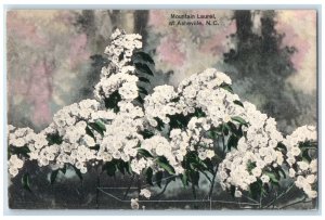 c1910's Mountain Laurel At Asheville North Carolina NC Flowers Antique Postcard