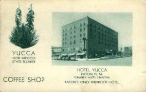 Hotel Yucca - Raton, New Mexico NM Postcard
