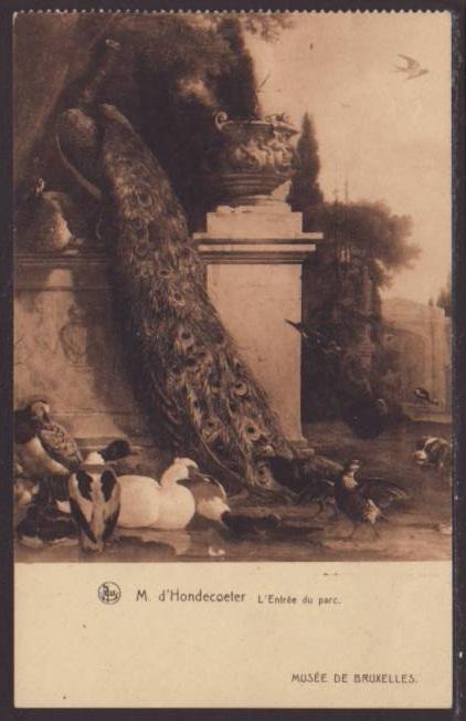 Peacock,Birds,D'Hondecoeter,Painting Postcard 