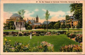Syracuse University Campus Syracuse New York NY Postcard