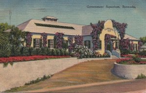 Postcard Government Aquarium Bermuda