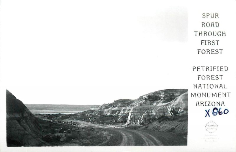 Postcard RPPC 1940s Arizona Spur Road Petrified Forest Monument Frasher 24-7063