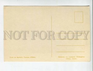471423 China landscape Yunnan Rochets Forest Old postcard