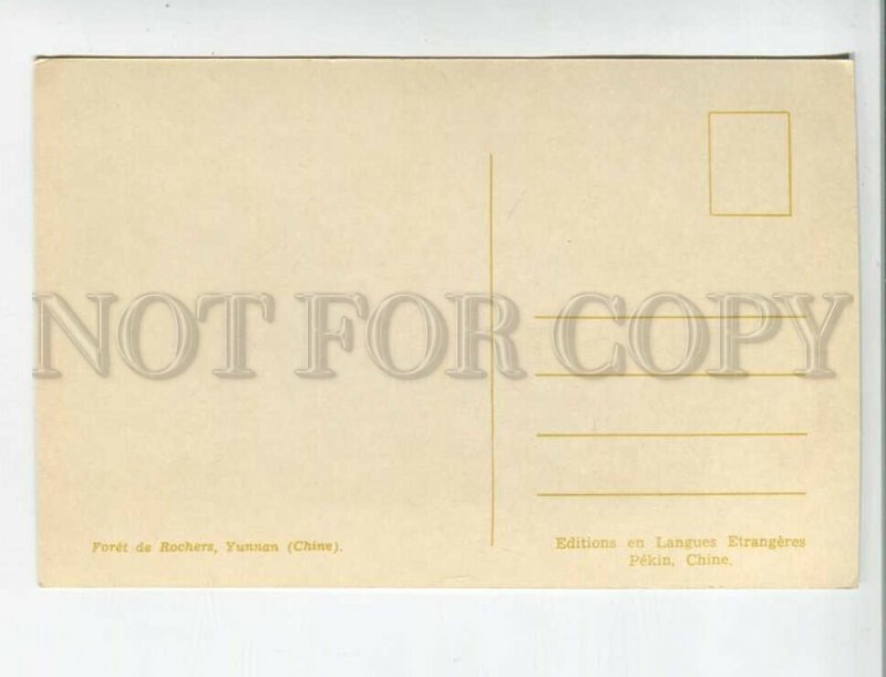 471423 China landscape Yunnan Rochets Forest Old postcard