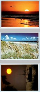 3 Postcards HILTON HEAD ISLAND, SC ~ Sunrise, Shrimp Boat, Sea Oats 4x6