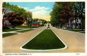 Henderson, North Carolina - The houses on Chestnut Street - c1920