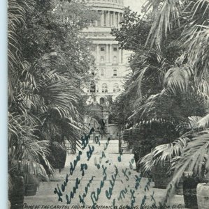 1910 Washington DC Dome of the Capitol from Botanical Gardens Photo Postcard A4