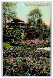 c1910 Flowers Bloom Pavilion Highland Park Rochester New York Vintage Postcard 