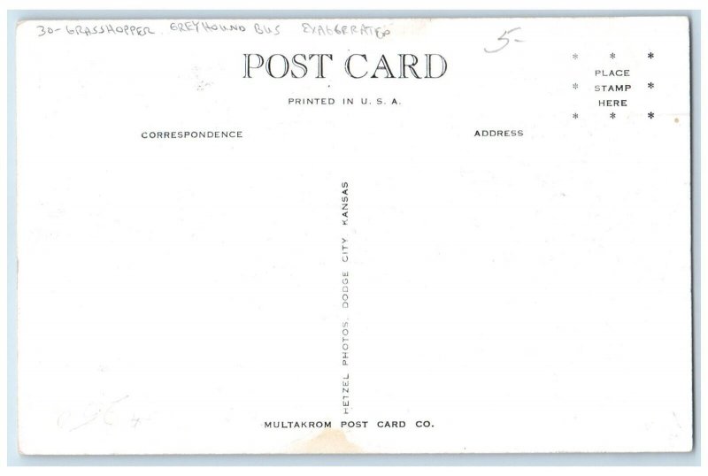 c1930's Grasshopper Greyhound Bus Exaggerated We've Run Into Something Postcard