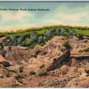 c1940s ND North Dakota Badland Cedar Canyon Iron Log Petrification Linen PC A220
