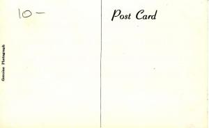 NH - Whitefield. Mountain View House   RPPC