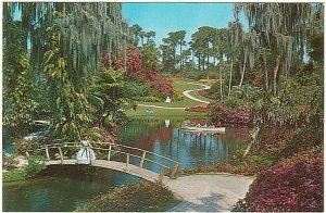 Beautiful Landscape, Cypress Gardens, Florida, Vintage Chrome Postcard