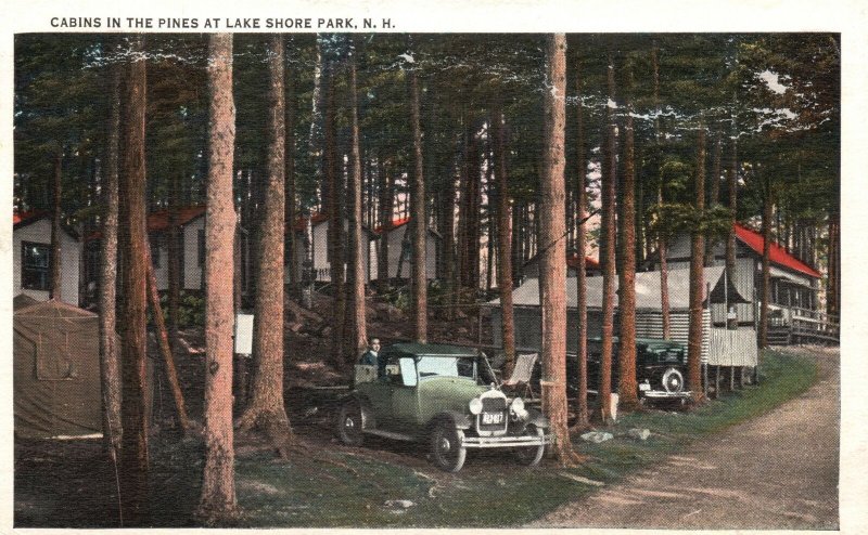 Vintage Postcard Cabins In The Pines Lake Shore Park New Hampshire G. A. Quimby