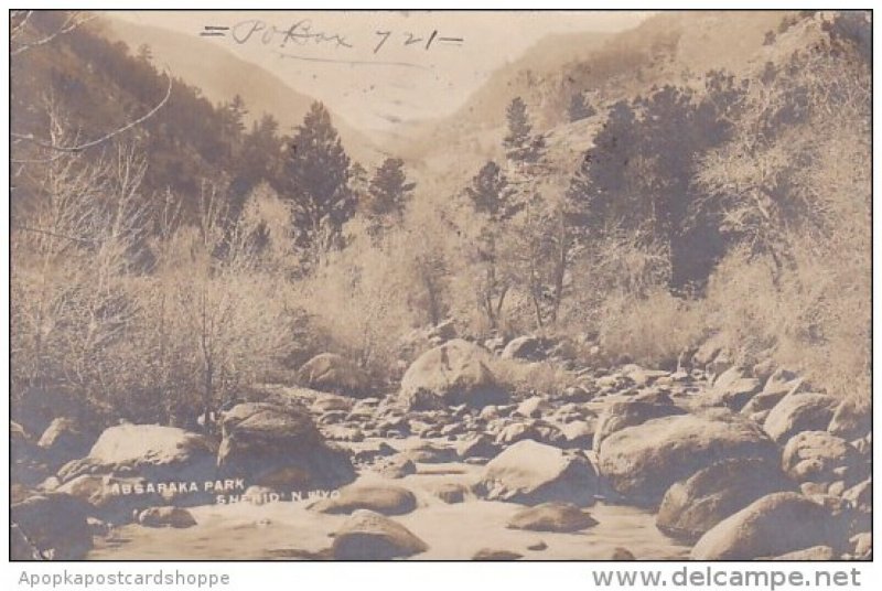 Absaraka Park Sheridan Wyoming Real Photo 1908