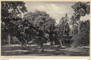 Dar es Salaam, Tanzania , 00-10s ; Botanical Gardens