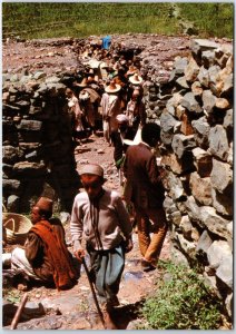 VINTAGE CONTINENTAL SIZE POSTCARD MARKET SCENE AT ALMAHWEET YEMEN 1970s