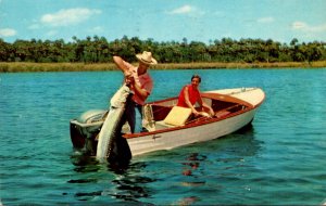 Fishing Couple Catching Tarpon Off The Florida Coast 1961