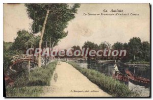 Old Postcard Amiens Somme Walk of Amiens Camon