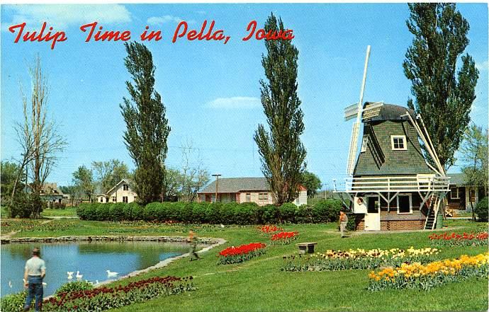 Tulip Time in Pella, Iowa - Flowers - Windmill