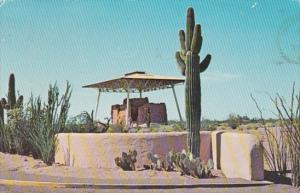 Arizona Coolidge Casa Grande Ruins National Monument Saguaro Cactus