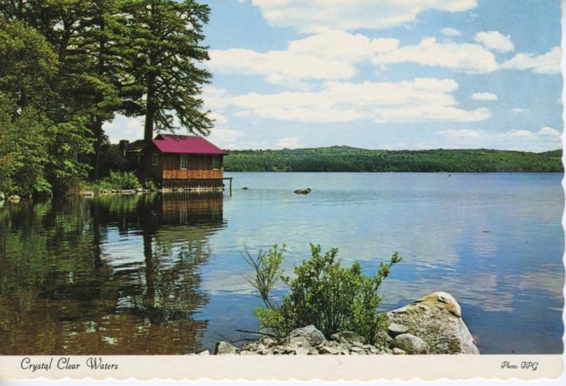 Crystal Clear Waters Saskatchewan Lake SK Sask Cabin Vintage Postcard D17