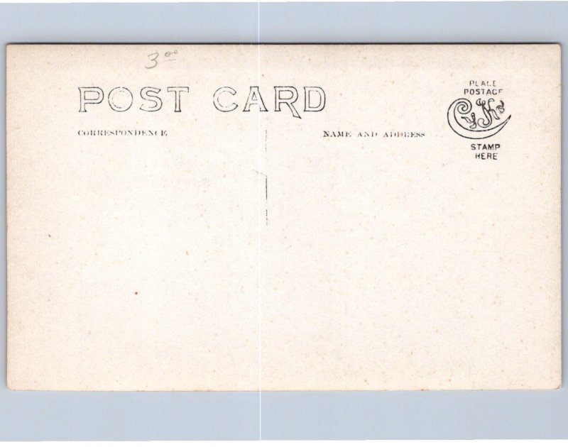 K42/ Cottonwood Park Jackson Hole Wyoming RPPC Postcard c1910 Horses 101