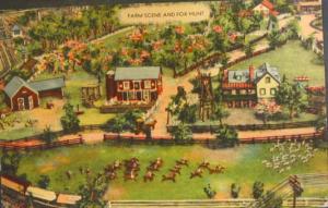 Harrisburg PA Roadside America Postcard