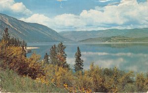 US26 postcard USA WA Lake Chelan State Park 1961