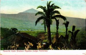 CPA AK Tenerife. Valle Orotava Nopales vulgo Fumeras SPAIN (674038)