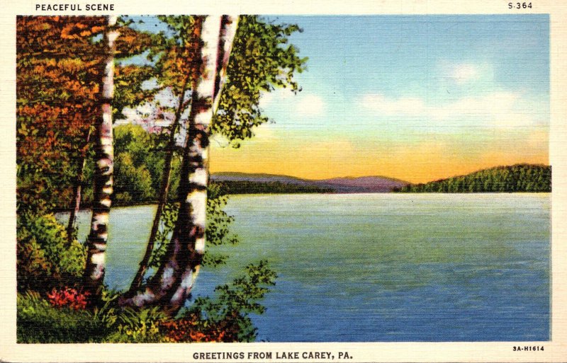 Pennsylvania Greetings From Lake Carey 1939 Curteich