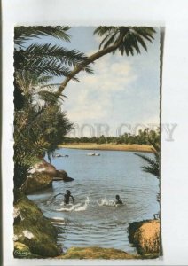 475705 Picturesque Africa boys bathe in the river Vintage postcard
