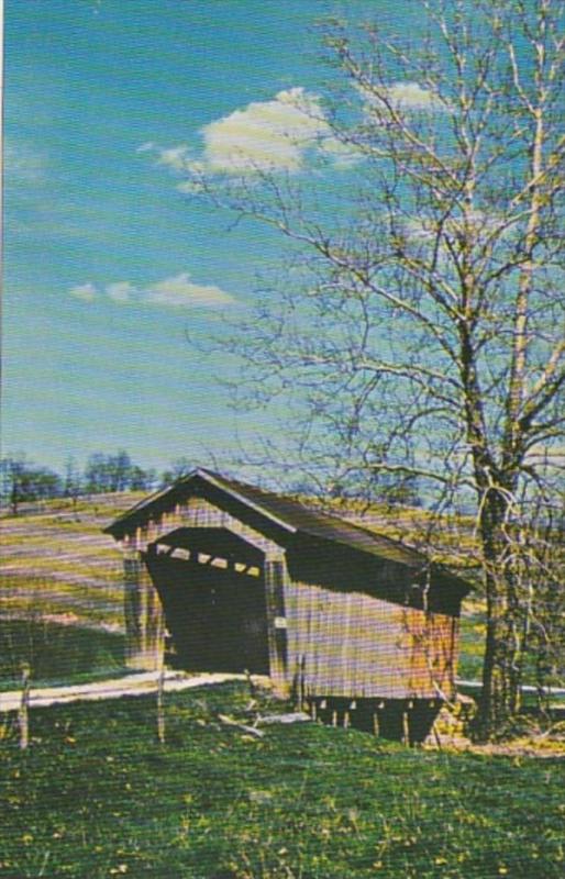 Ohio Noble County Manchester Covered Bridge #33