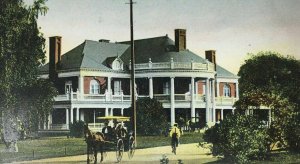 Early Roger Williams Park The Casino Postcard Providence RI Horse Carriage