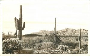 Postcard RPPC Arizona Desert Superstition Mountain Cactus Frasher 23-3652
