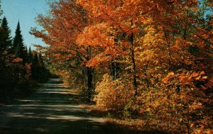 Rustic Autumn Drive,Gills Rock,Door County,WI BIN