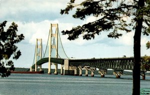 Michigan, Mackinac Bridge, Water-Winter Wonderland, Hiawatha Card Co. Postcard